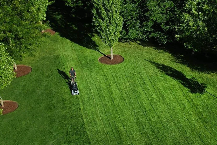 best battery operated lawnmower
